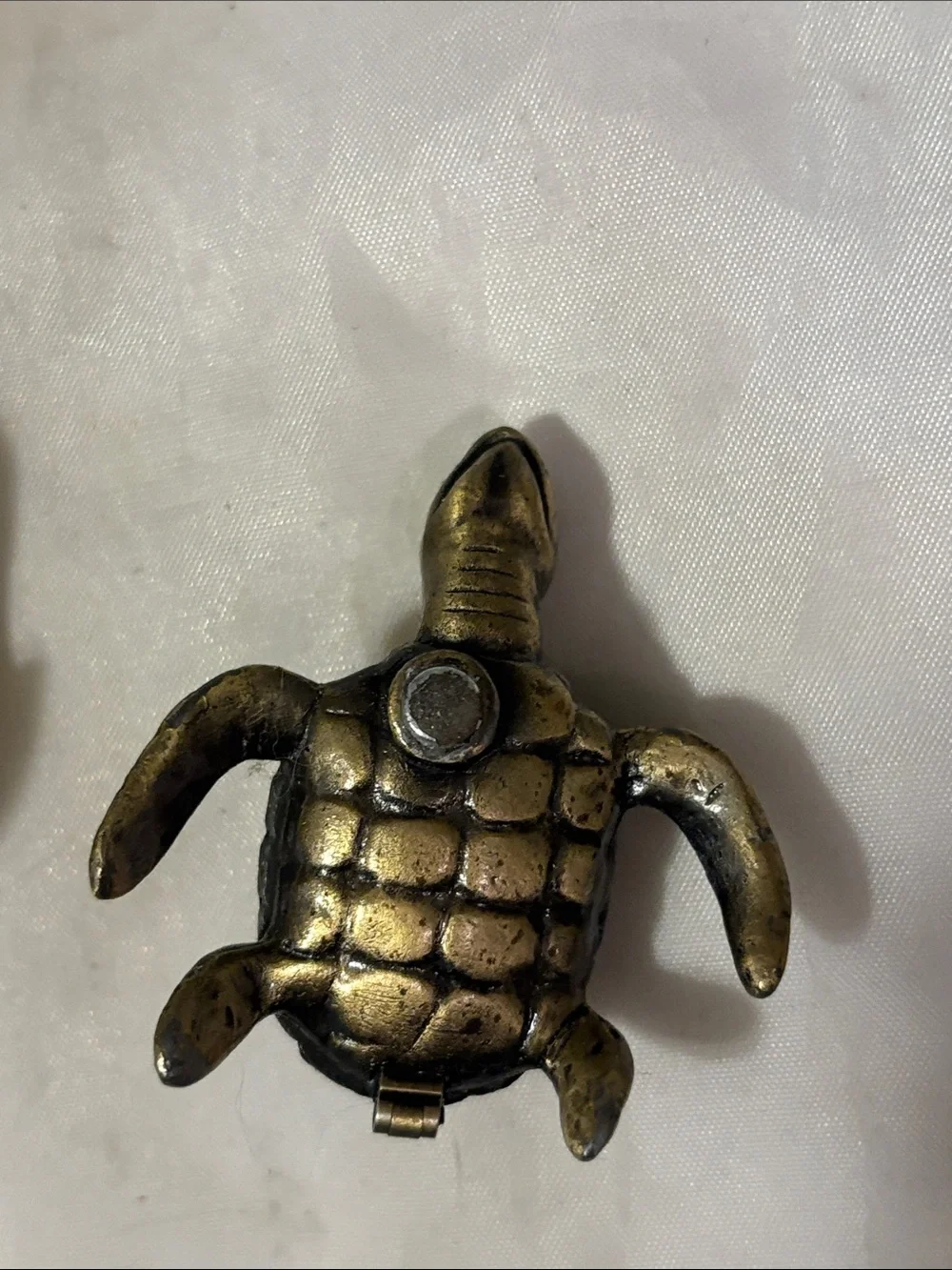 Turtle Hatching Trinket Box with Rhinestones - Cream & Brown